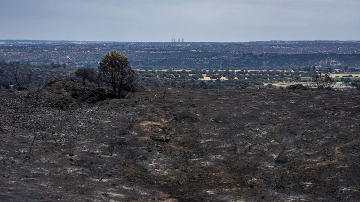 Tierra calcinada tras el paso de las llamas