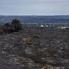 Casas rurales, campings, alquiler de bicis, parques de tirolinas, bodegas... los negocios arrasados por el incendio de la Sierra Oeste