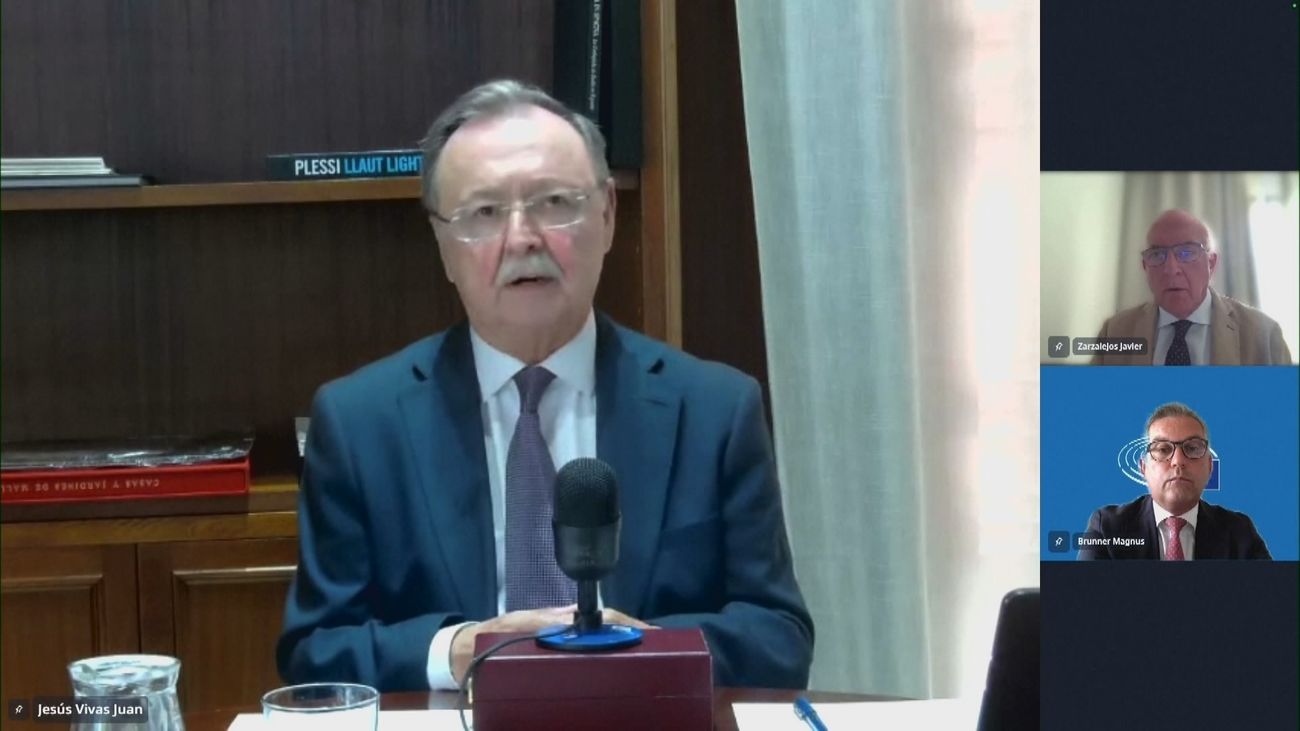 Juan Jesús Vivas, presidente de Ceuta, interviene por videoconferencia en la Eurocámara