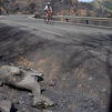 Estabilizado el incendio de Ávila que calcinó más de 50.000 hectáreas y obligó a evacuar a 35.000 personas
