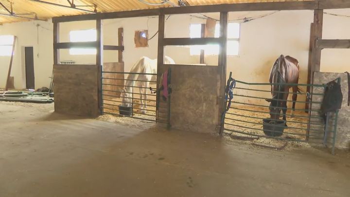 El Santuario Vegan vuelve a la normalidad tras el incendio de Cadalso de los Vidrios