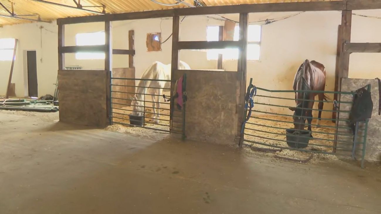 El Santuario Vegan vuelve a la normalidad tras el incendio de Cadalso de los Vidrios