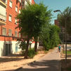 Inseguridad, peleas, ruidos, la denuncia de los vecinos de la plaza de San Pedro Bautista en Alcorcón