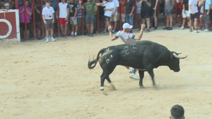 Tielmes celebra sus fiestas patronales en honor a Justo y Pastor con las primeras fiestas taurinas