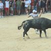 Tielmes celebra sus fiestas patronales en honor a Justo y Pastor con las primeras fiestas taurinas