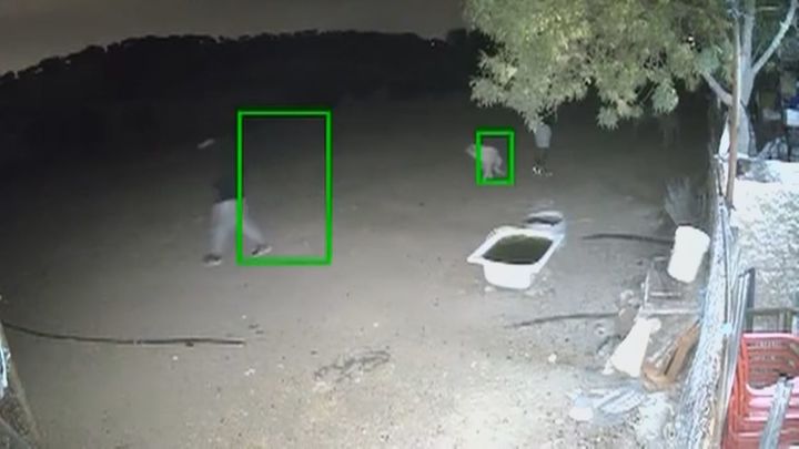 Los ganaderos madrileños piden más refuerzo policial ante el aumento de robos de ganado