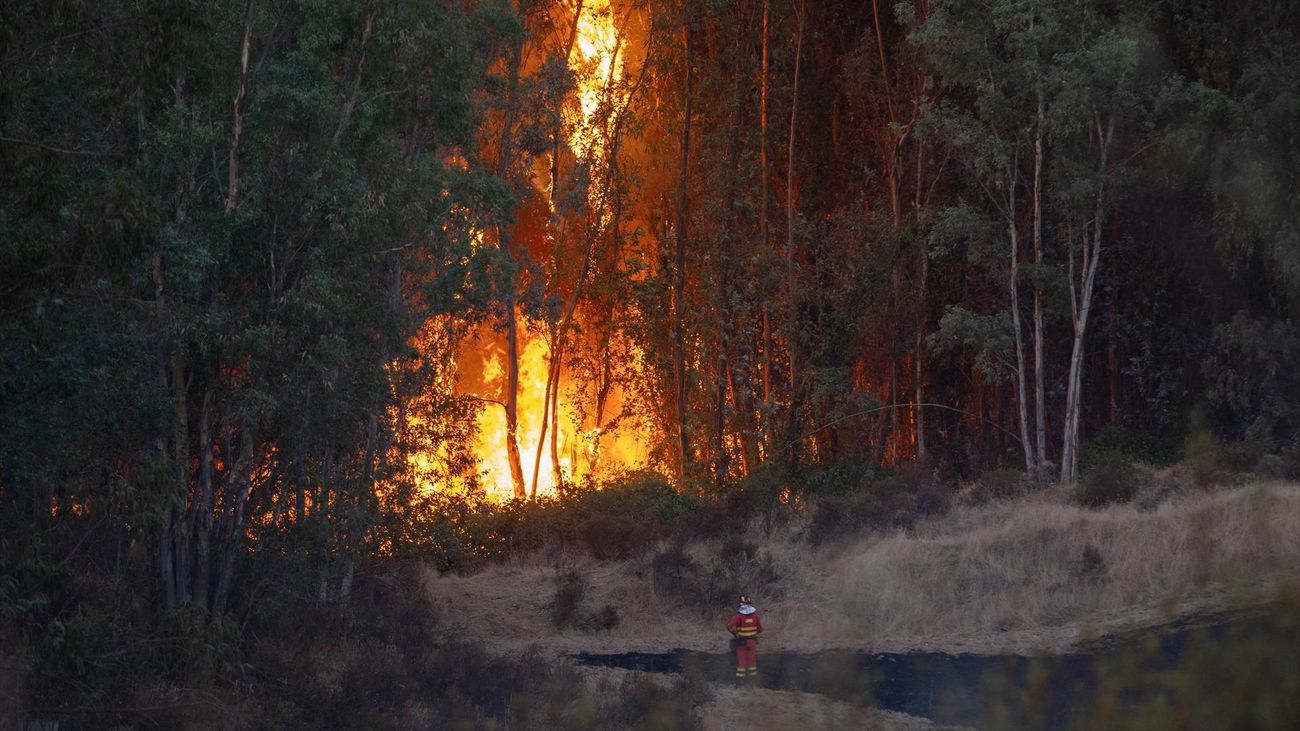 El incendio de Niebla alcanza un perímetro de 8.000 hectáreas mientras 467 personas siguen evacuadas