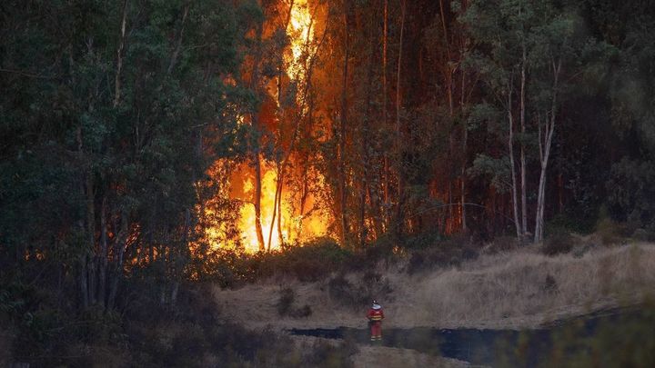 El incendio de Niebla alcanza un perímetro de 8.000 hectáreas mientras 467 personas siguen evacuadas