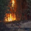 El incendio de Niebla alcanza un perímetro de 8.000 hectáreas mientras 467 personas siguen evacuadas