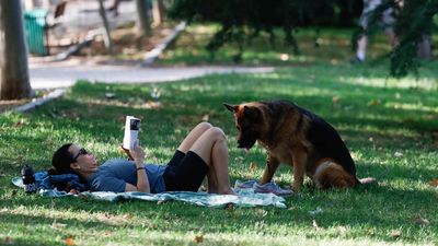 Madrid afronta otro día de calor: riesgo alto por temperaturas de 38ºC en el sur, las Vegas y el oeste