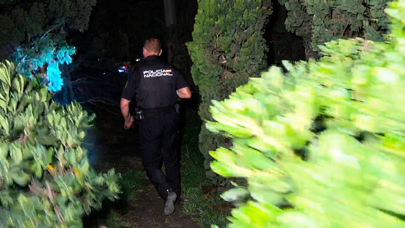 Persecución de película en Madrid: roban un bar en Méndez Álvaro y huyen por la M-30 mientras tiran el dinero por la ventanilla