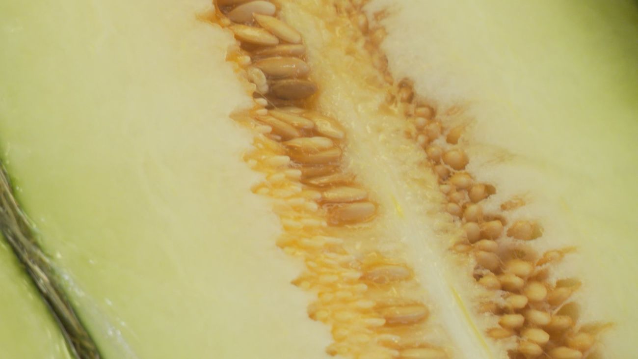 Melón: las variedades más sabrosas y sus beneficios