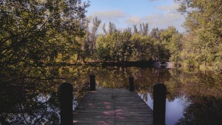 Bosque finlandés de Rascafría / Comunidad de Madrid