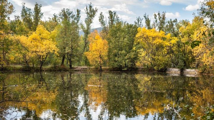 Bosque Finlandés en Rascafría / Central de reservas de Guadarrama