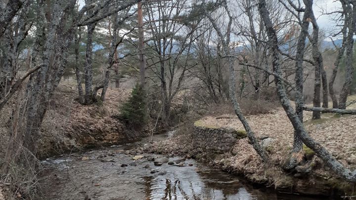 Paisaje en Rascafría / Rascafía.org