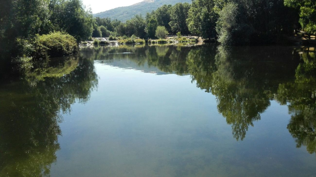Naturaleza en Rascafría