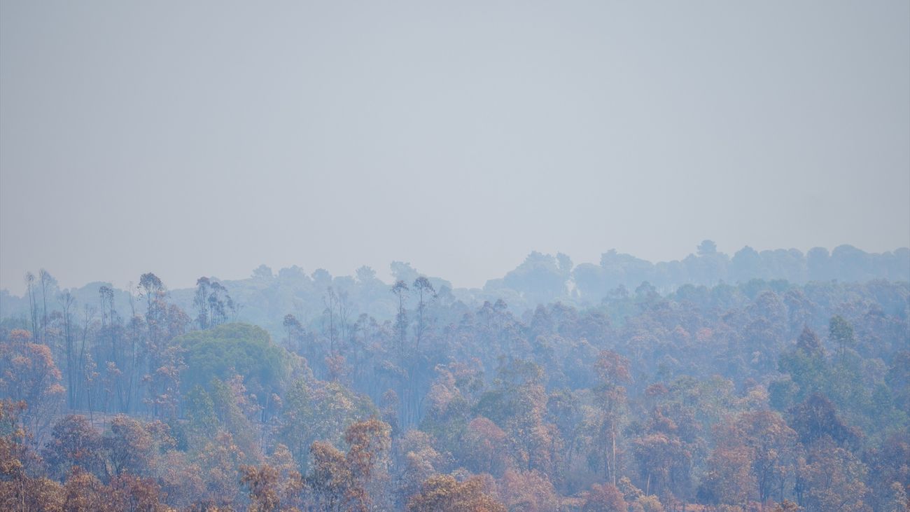 Incendio de Niebla (Huelva)
