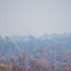 Incendio de Niebla (Huelva)
