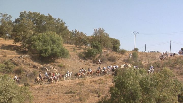 Miraflores da el pistoletazo a sus fiestas con la tradicional trashumancia de bueyes