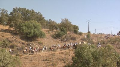 Miraflores da el pistoletazo a sus fiestas con la tradicional trashumancia de bueyes