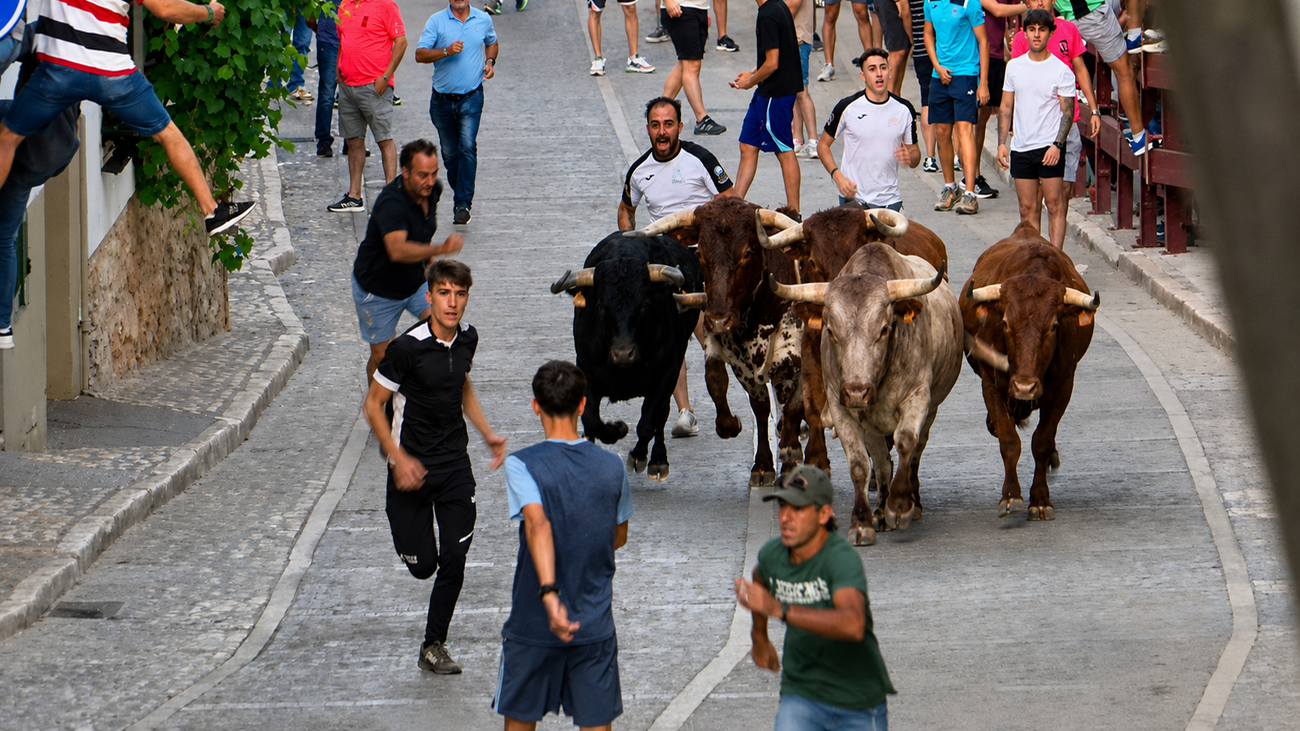 Los encierros dan comienzo a las fiestas de Chinchón