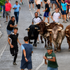 Los encierros dan comienzo a las fiestas de Chinchón
