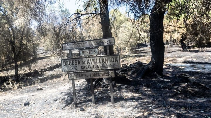 Son ya 240.785 las hectáreas afectadas por los incendios forestales en 2026