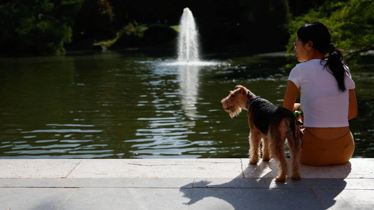 Vista del parque de El Retiro