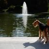 Madrid se prepara para otro domingo de calor: 38ºC y tormentas en la sierra por la tarde