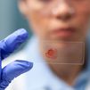 Un paso más para prevenir el cáncer de la sangre: descubren cómo las células precancerosas aceleran el envejecimiento de la médula ósea