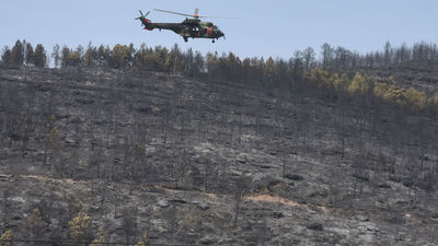 Estabilizada la mayor parte del incendio de Peñas de Riglos, en Huesca