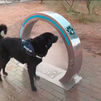 Las Rozas instala un nuevo dispositivo para refrescar y mejorar el bienestar de los animales de compañía