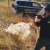 Detenidos en Alcalá por retirar amianto sin autorización y arrojarlo en medio del campo