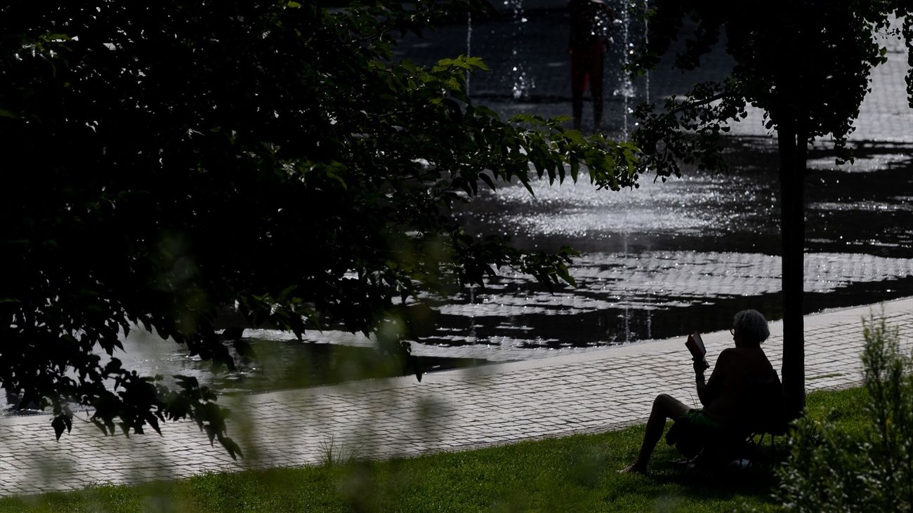 Una persona lee a la sombra en Madrid Río
