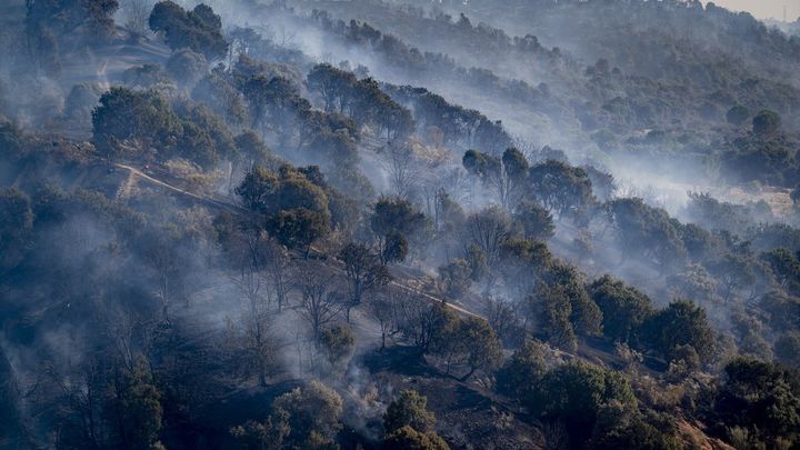 Incendio en Aldea del Fresno