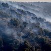 La Comunidad de Madrid rebaja a nivel 1 el incendio forestal en Aldea del Fresno