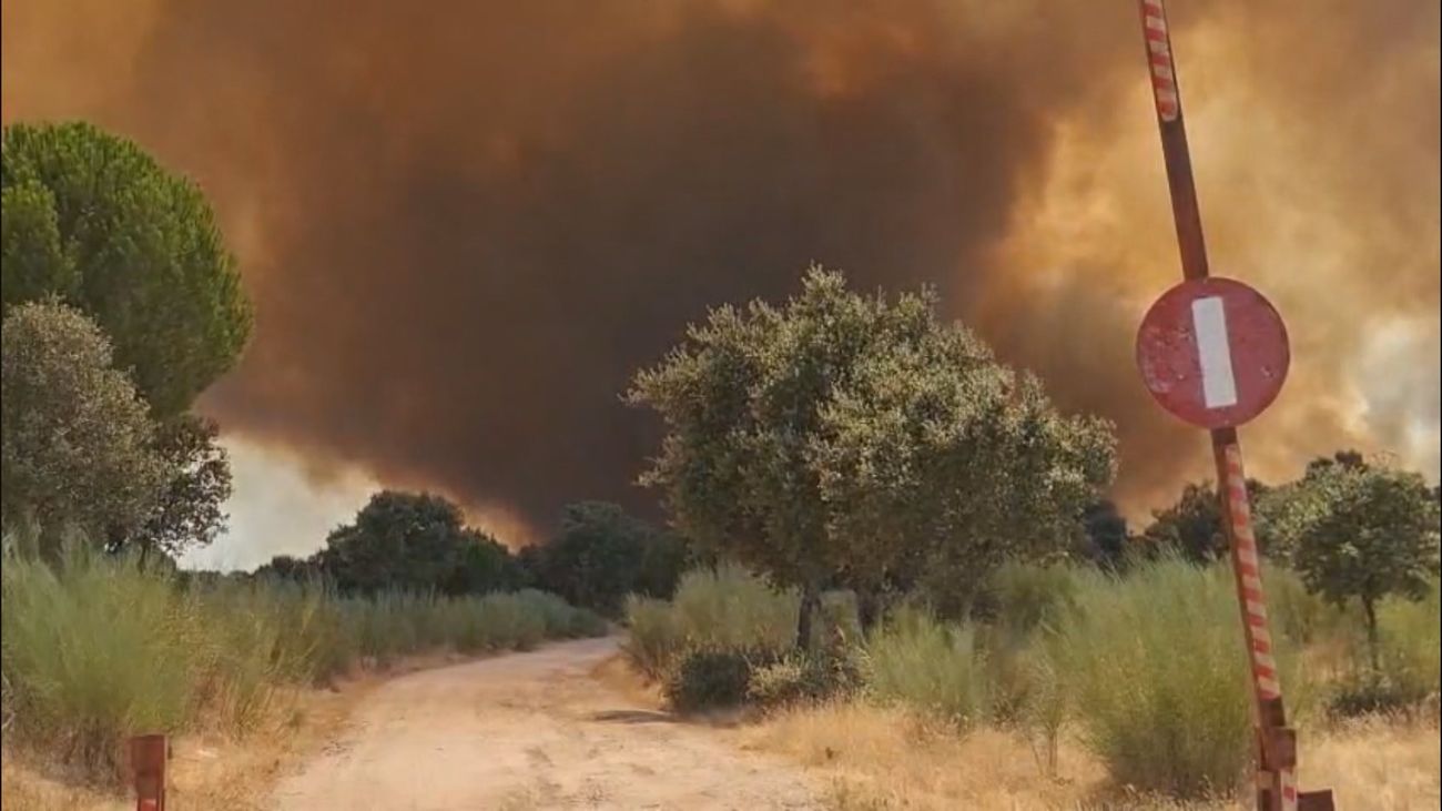 El incendio en Aldea del Fresno podría quedar extinguido este jueves tras evolucionar de forma favorable