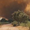 El incendio en Aldea del Fresno podría quedar extinguido este jueves tras evolucionar de forma favorable