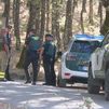 Suspenden la búsqueda del supuesto león avistado en la Sierra de San Vicente (Toledo)