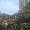 Fuertes tormentas y rachas de viento en Valencia