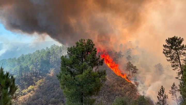 El incendio en Las Hurdes (Cáceres) obliga al confinamiento de Nuñomoral