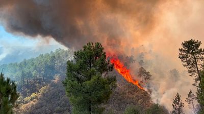 El incendio en Las Hurdes (Cáceres) obliga al confinamiento de Nuñomoral