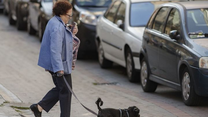 Una mujer pasea con su perro en una calle de Madrid