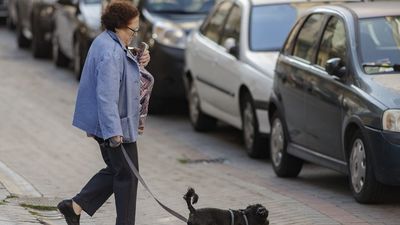 El calor da un respiro a Madrid con máximas de 31ºC y  mínimas que rondarán los 15ºC  este viernes