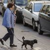 Una mujer pasea con su perro en una calle de Madrid