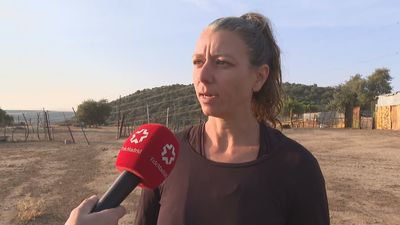 La petición de los ganaderos madrileños afectados por los robos: "necesitamos cámaras de videovigilancia en puntos estratégicos"