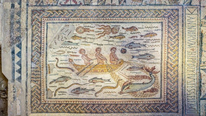 Mosaico de los Peces de la Casa de Hippolytus