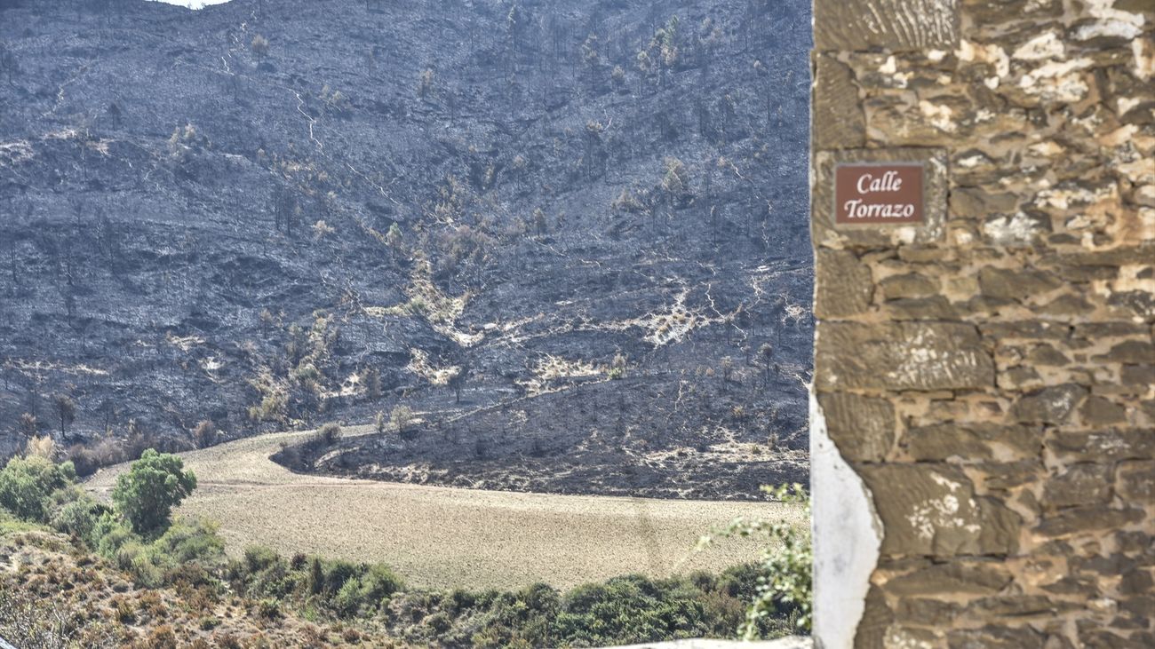 Vista de zonas calcinadas por el incendio de Riglos