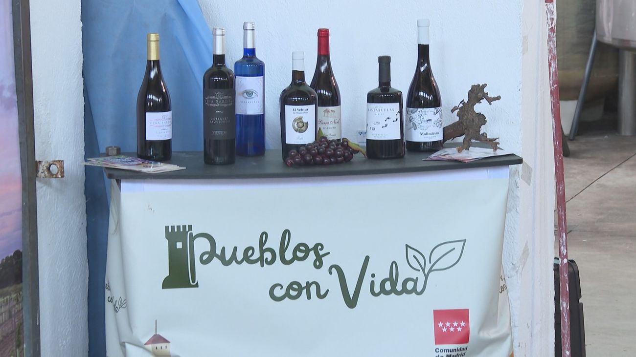 La Comunidad de Madrid finaliza la mejora de seis bodegas en cuatro municipios rurales