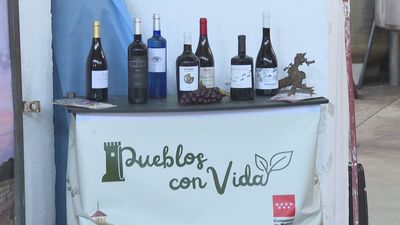 La Comunidad de Madrid finaliza la mejora de seis bodegas en cuatro municipios rurales